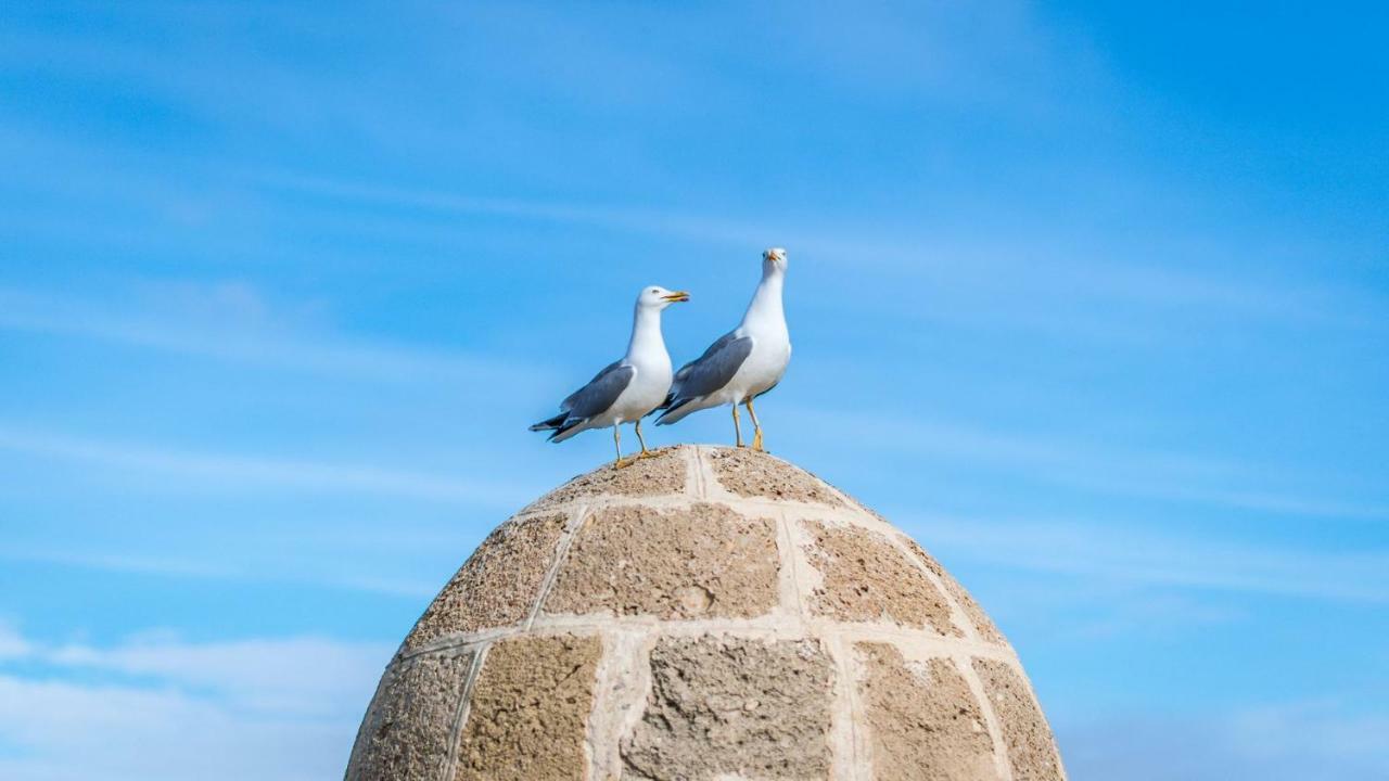 Luz De Cadiz Daire Dış mekan fotoğraf